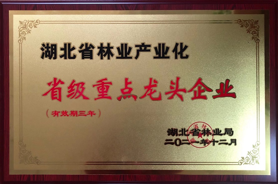 2021年湖北省林業(yè)產(chǎn)業(yè)化重點(diǎn)龍頭企業(yè).jpg 2021年湖北省林業(yè)產(chǎn)業(yè)化重點(diǎn)龍頭企業(yè).jpg